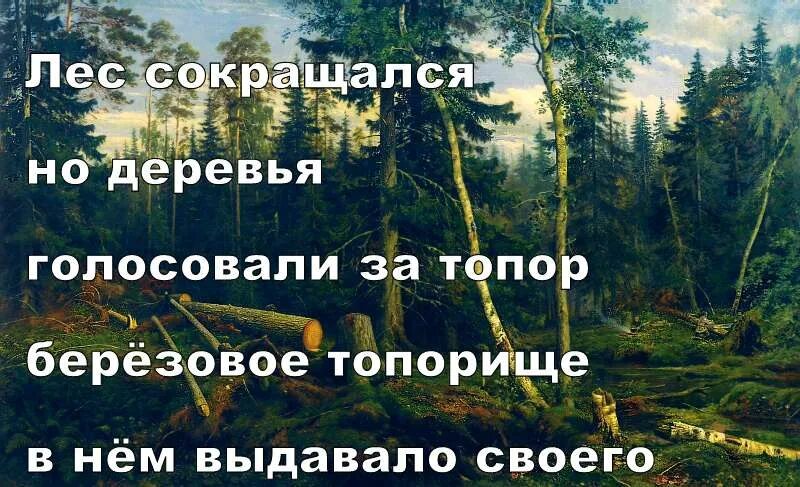 Дерево голосовать. Деревья продолжали голосовать. Лес стремительно сокращался но деревья продолжали.