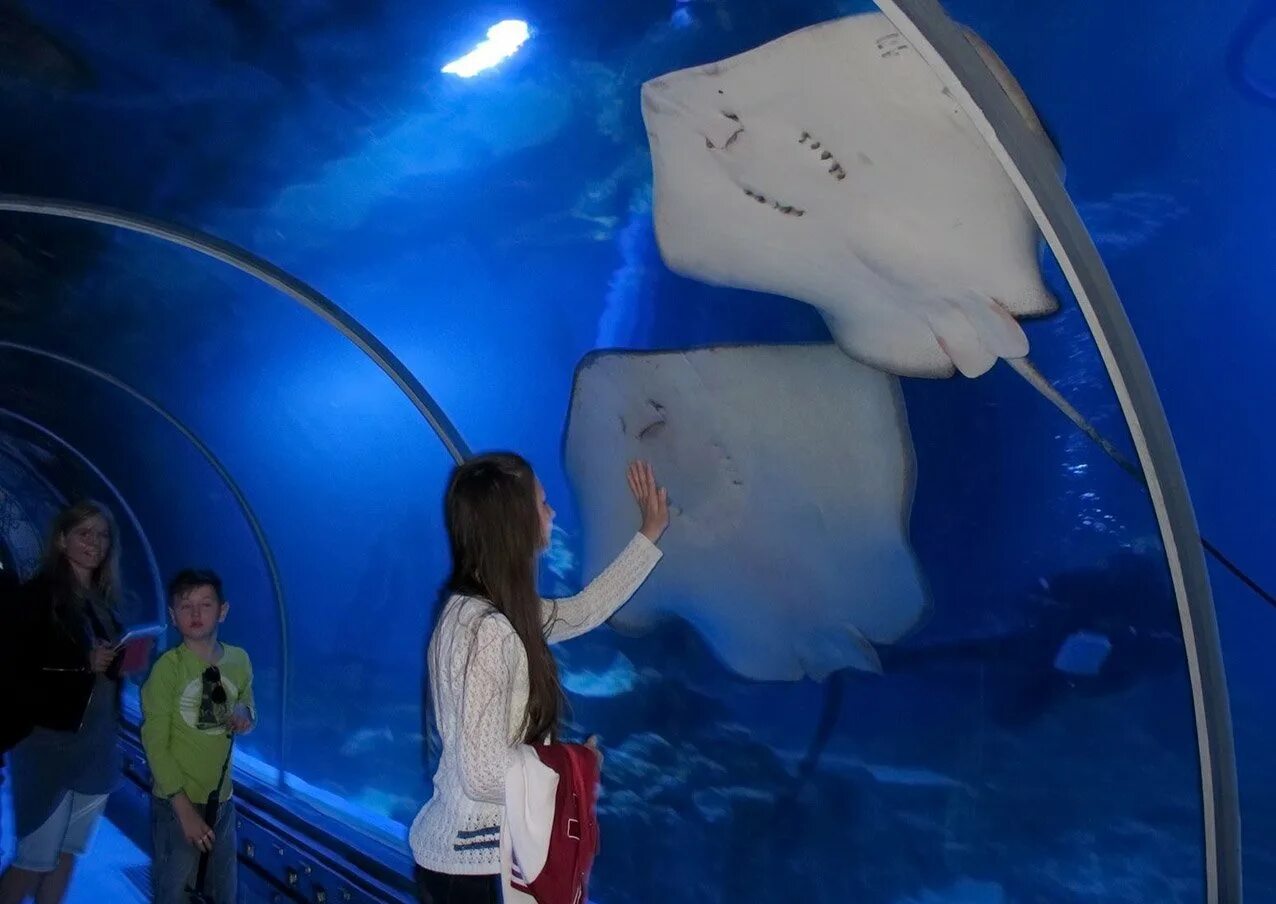 Гранд аквариум Египет. Grand Aquarium Хургада. Океанариум «Гранд-аквариум» в Хургаде. Египет Хургада Гранд аквариум. Океанариум хургада