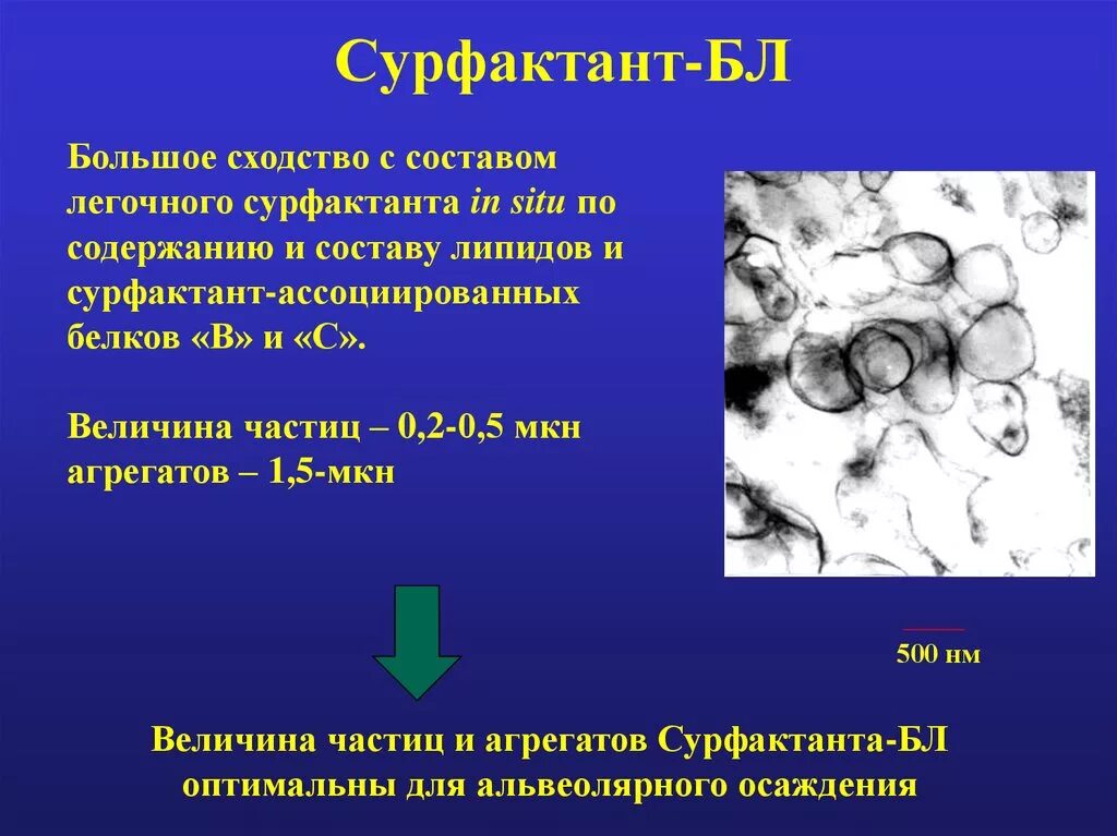 Сульфактант. Лёгочный сурфактант. Синтез легочного сурфактанта. Легочный сурфактант состав. Сурфактант состав.