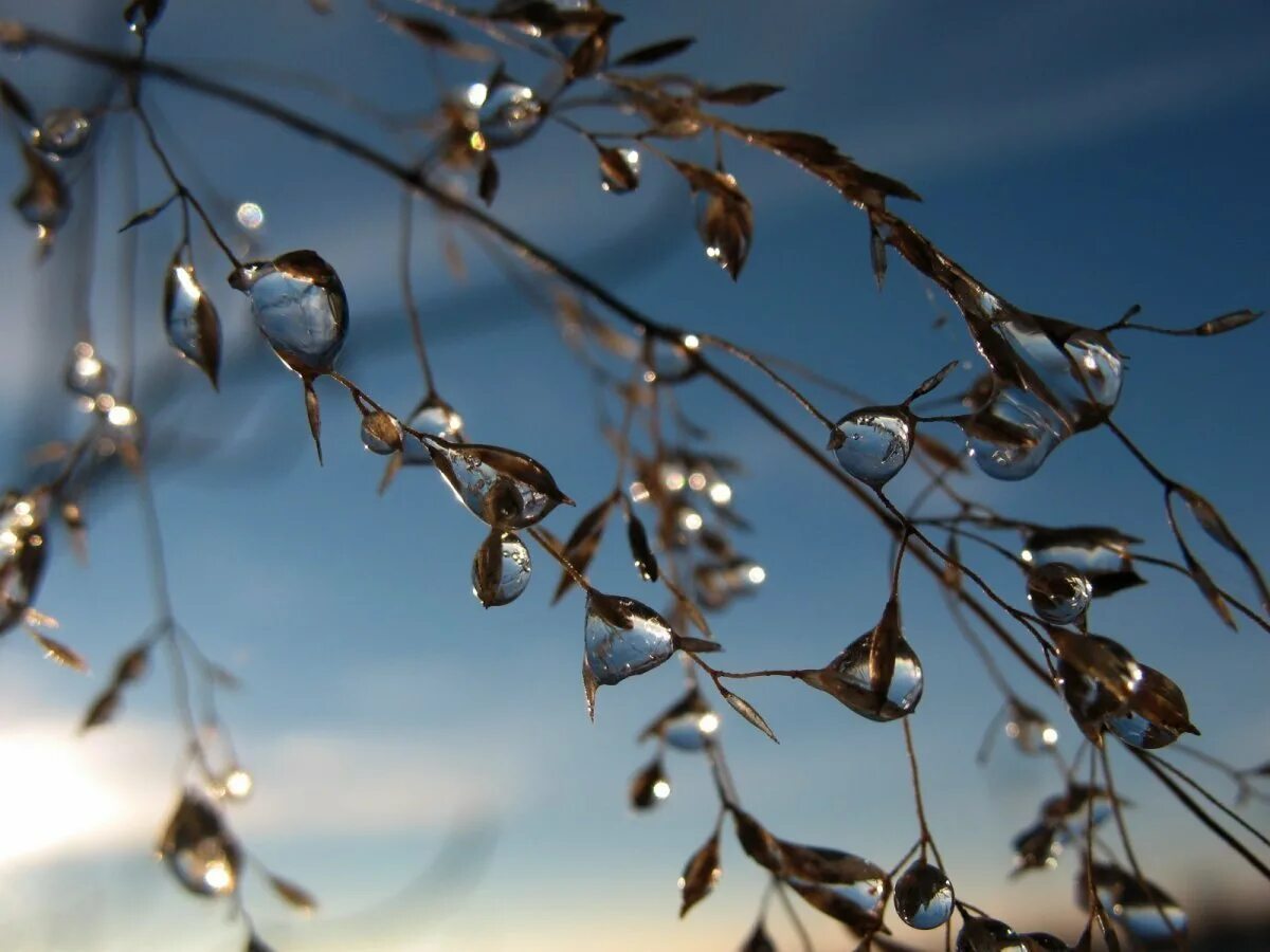 весенняя капель картинки. март капель. капель весной. весенняя капель. капель фото.