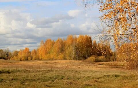 Осень на русской земле
