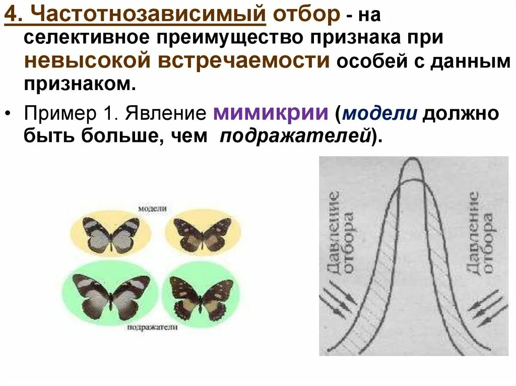 Сохраняет особей с полезными для них признаками. Формы отбора. Какая форма отбора представлена на рисунке. Факторы эволюции презентация. Селективный отбор.