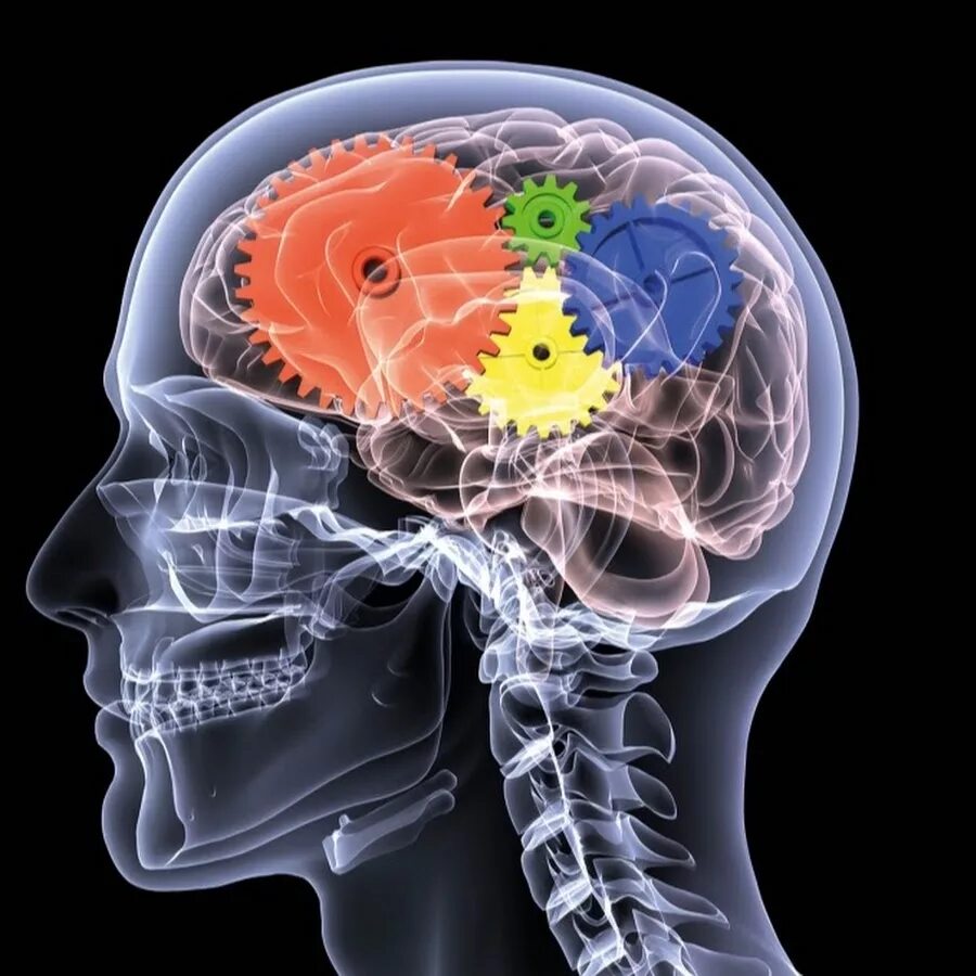 Brain imaging. Мозг в голове. Механизм в голове.