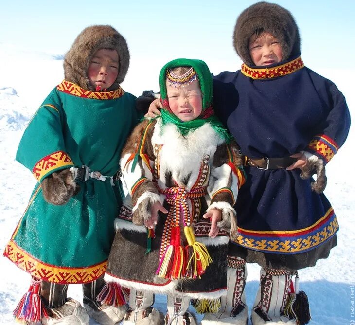 Костюм ненцев. Ненцы народ России. Жители севера. Национальный костюм ненца для детей. Ненцы народ России для детей.