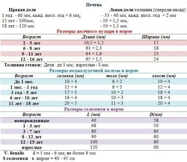 Размеры узи норма