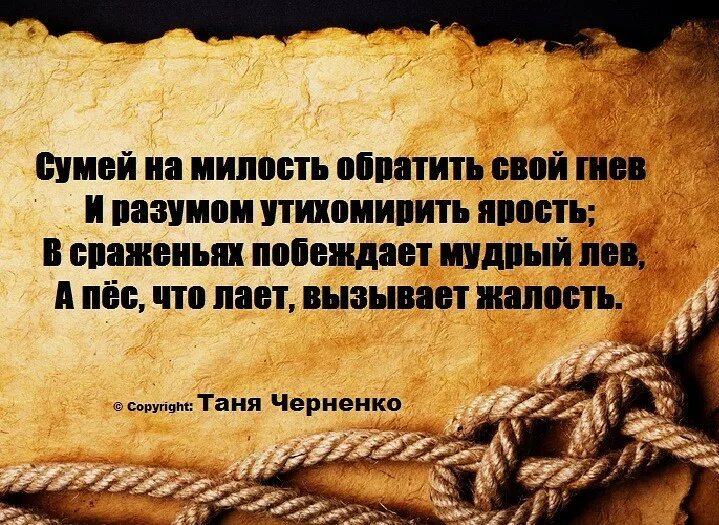 Гнев яд. Цитаты про злость и гнев. высказывания про гнев. про злость высказывания. цитаты про злость.