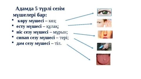 Порно сенбі онлайн