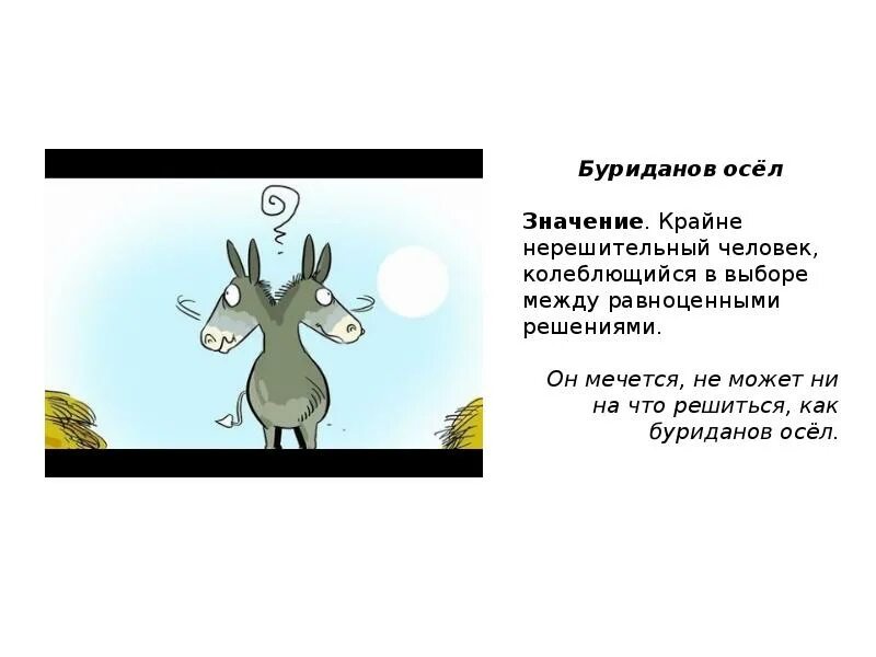 Поднять на смех значение фразеологизма. Поднять на смех значение фразеологизма