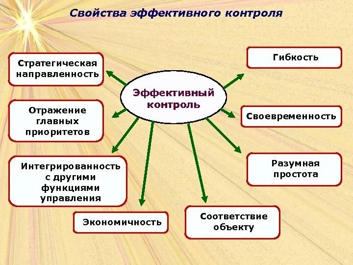 Свойства эффективного контроля. Основные характеристики эффективного контроля. Эффективный контроль в управлении. Принципы эффективного контроля