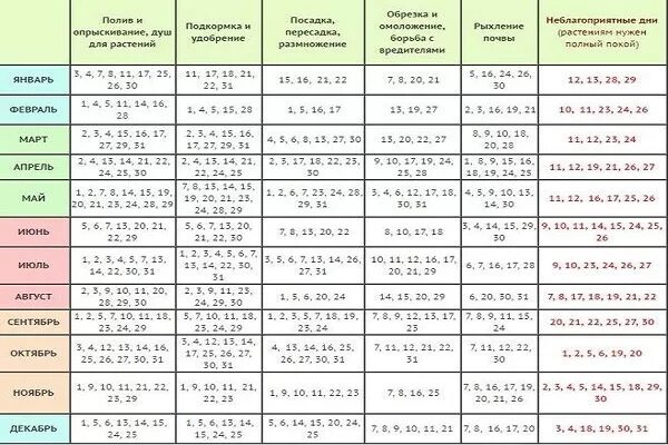 Посадка огурцов в открытый грунт в мае по лунному календарю. Огурцы благоприятные дни для посадки. Лунный календарь для посадки огурцов. Благоприятные дни для высадки рассады огурцов. Лунный календарь для посева огурцов на рассаду