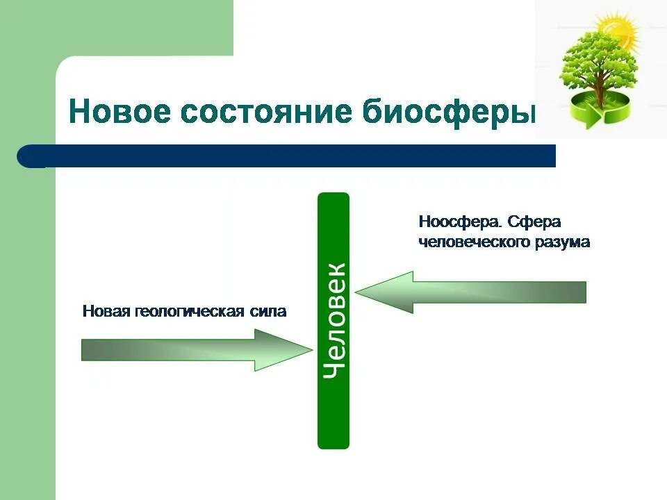 Состояние биосферы. Человек житель биосферы. Человек как житель биосферы и его влияние на природу земли. Человек житель биосферы и его влияние на биосферу. Человек является частью биосферы докажите правильность этого