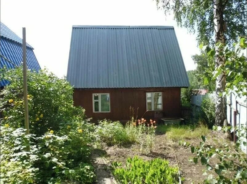 Снт автомобилист. Кемерово недорогие дачи. Дача кировск. Недорогие дачи кемерово. Дачи в снт.
