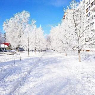 Когда день города в зиме