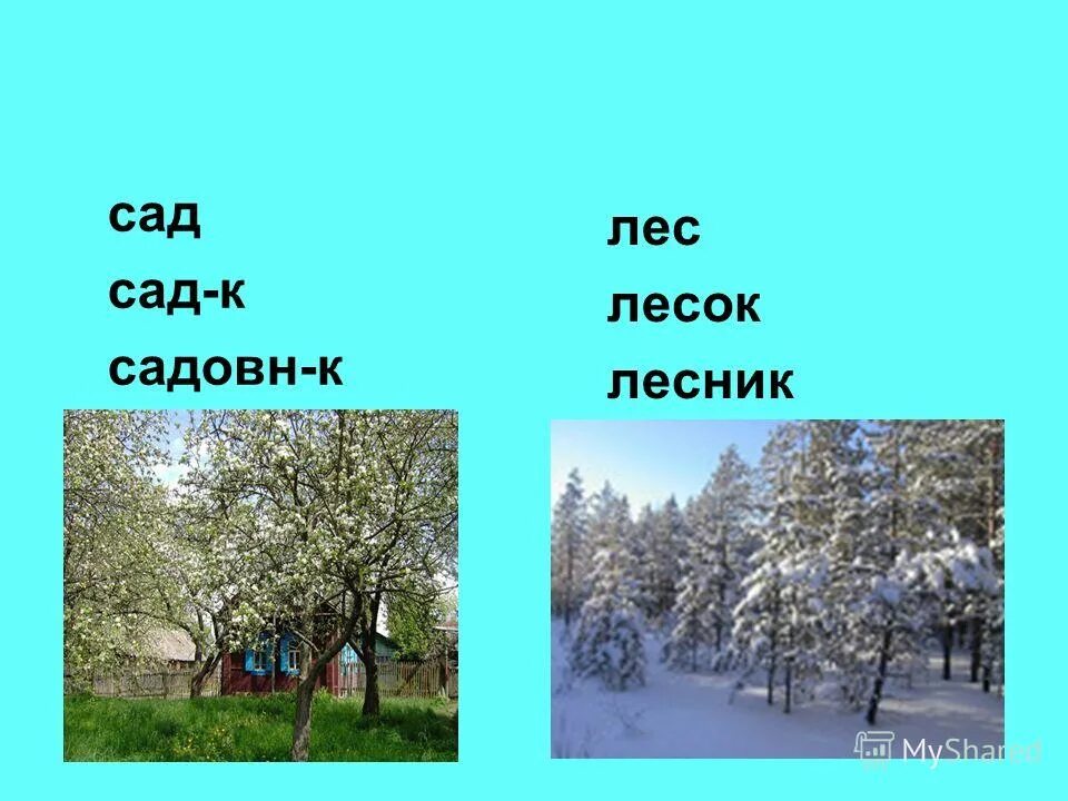 Родственные слова 1 класс презентация