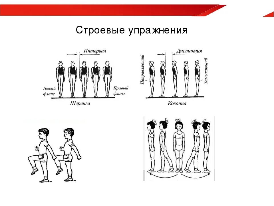 Схемы строевых упражнений. Строевые упражнения в гимнастике схемы. Схема построения строевых упражнений. Команды строевых упражнений в гимнастике. Как называется правая левая оконечность строя физкультура