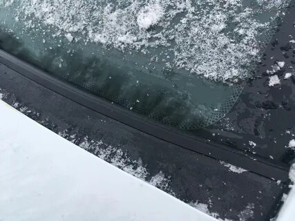 Жабо задние