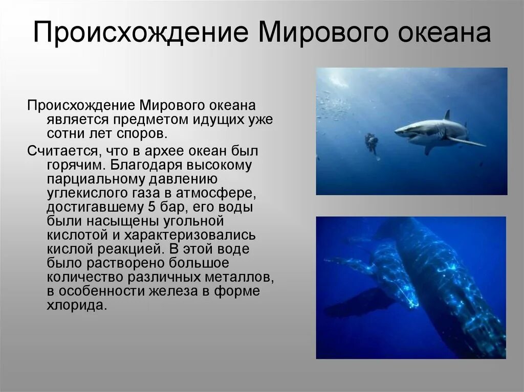 Тихий океан изучен. Исследование мирового океана. Происхождение океана. Происхождение мирового океана. Особенности мирового океана.