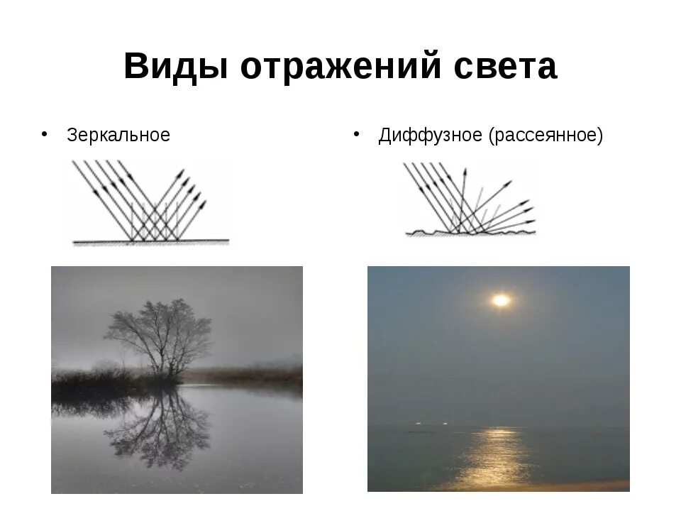 Рассеянное диффузное. Схема диффузного отражения света. Зеркальное и диффузное отражение света. Зеркальное отражение света. Диффузное отражение света. Зеркальное отражение света физика.