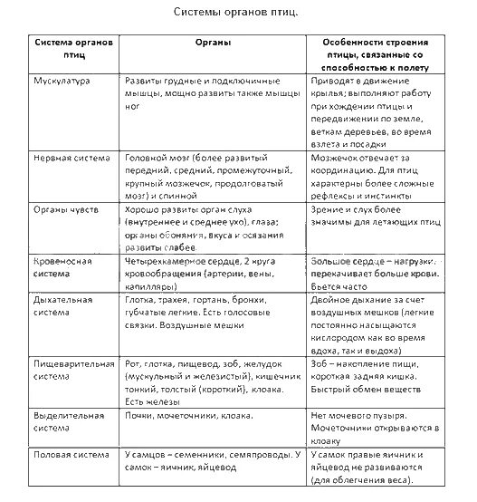 Таблица птицы система органов органы особенности строения