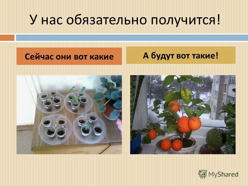 В лоб получишь. Кронштадтский мятеж карикатуры. Кронштадтское восстание 1921. Практика 5 улыбок. Сейчас получится.