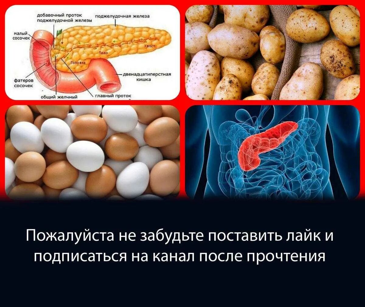 Поджелудочная железа продукция. Вредные продукты для поджелудки. Продукты для поджелудочной железы. Продукты которые вредят поджелудочной железе.