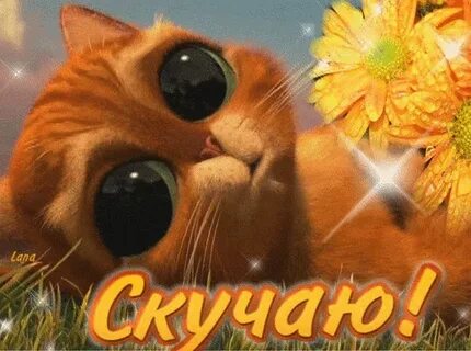 Видео скучаю девушке