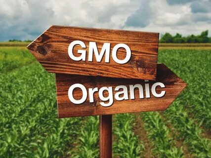 Easy Health Options ® :: Surviving in a GMO world.