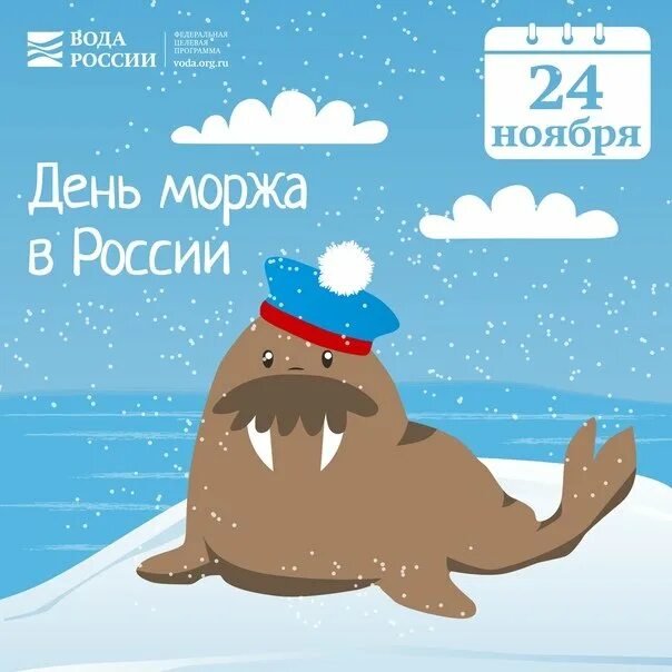 Морж прикольные картинки. День моржа. праздник день моржа. день моржа 24 ноября. день моржа открытка.
