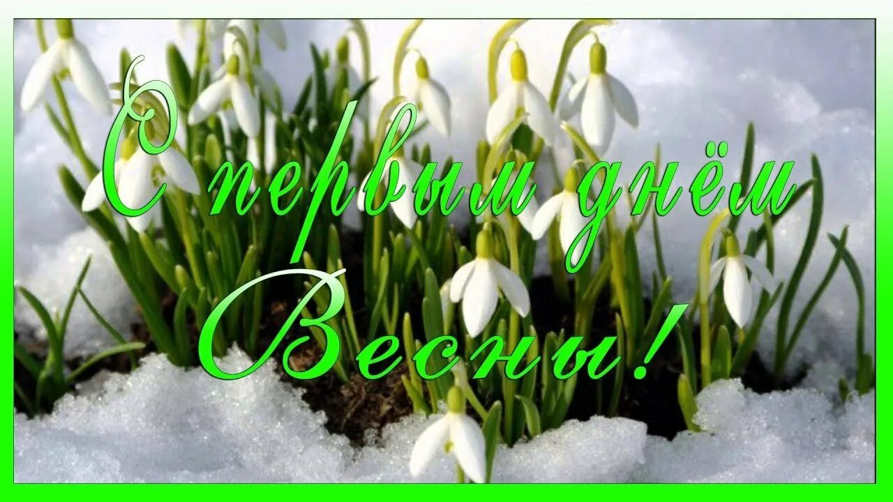 включи видео март