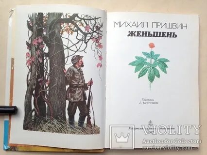 Очерк пришвина башмаки