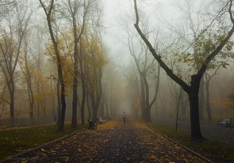 Снимаем пейзаж