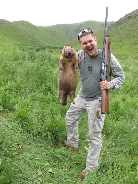 Биография байбака. Биография байбака. Степной байбак. Сурок суслик байбак это. Сурок-байбак варминтинг.