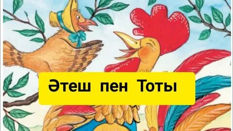 Жыныстық бейне көз жасы