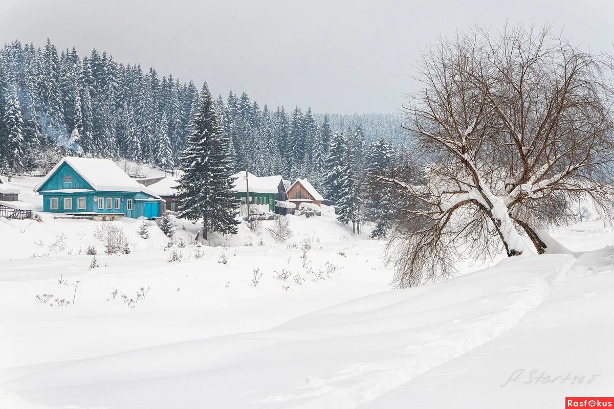 Маковское енисейский район. Красноярск замятино. Красноярский край деревня старцева. Старцево тюрьма. Поселок таёжный красноярский край природа.