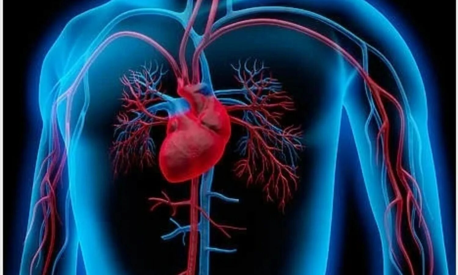 Ухудшение кровообращения. Сердечно-сосудистая хирургия. Сердце кардиология. Сердечная недостаточность фон.