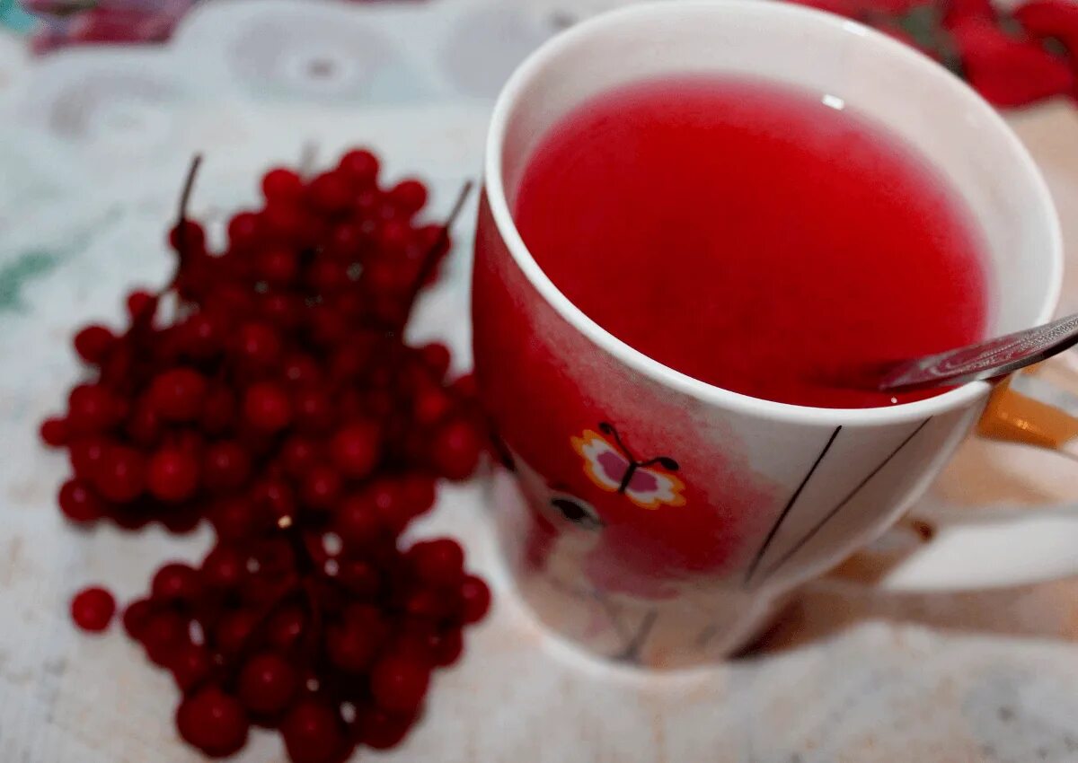 Калина при простуде. Калиновый чай. Чай из ягод. Чай с калиной. Отвар из ягод.