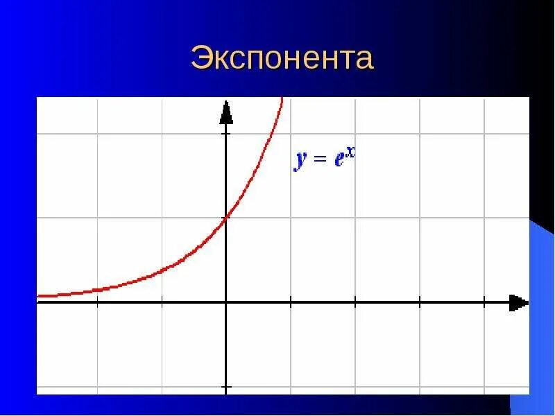 Зачем функция. Графики функций экспонента. График функции е в степени х. График функции экспоненты. • График экспоненциальной функции y = e x.