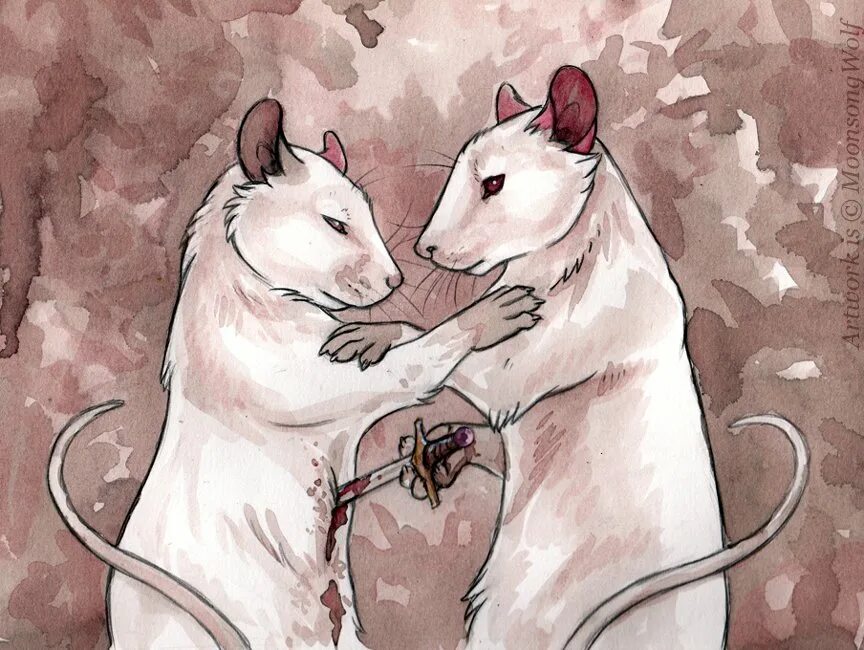 Рисунки двух животных