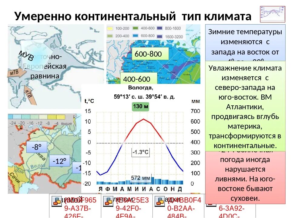 Умеренный пояс какой тип климата