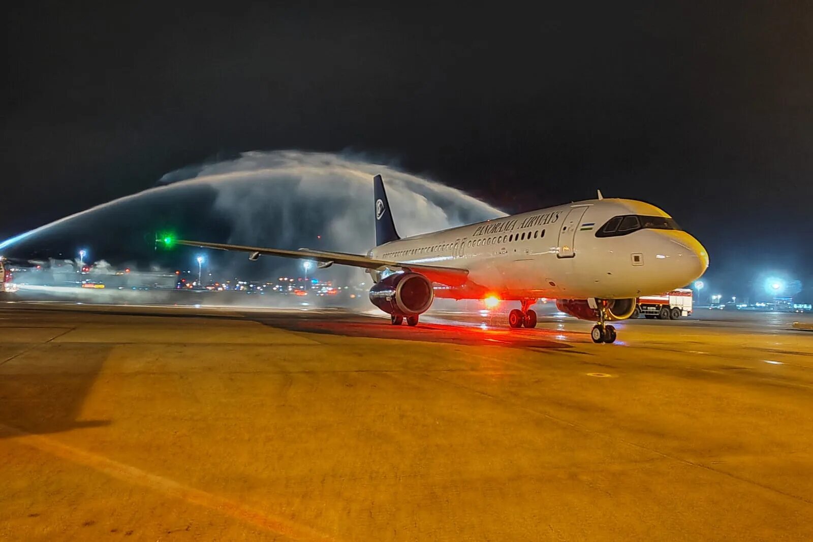 Адлер 2022. Сочи парк с птичьего полета. Аэропорт сочи адлер. Международный аэропорт сочи имени в. Олимпийский городок адлер.