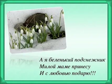 Песни подснежников хочу