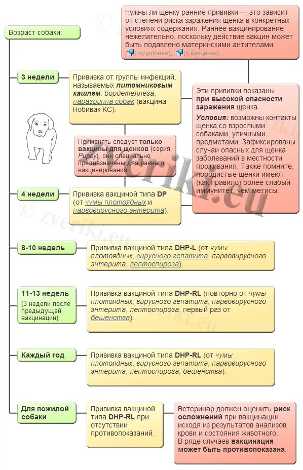 Когда можно делать прививки собаке. Прививка щенкам по возрасту таблица. Прививки для собак по возрасту. Прививки собакам по возрасту таблица. Календарь прививок для щенков.