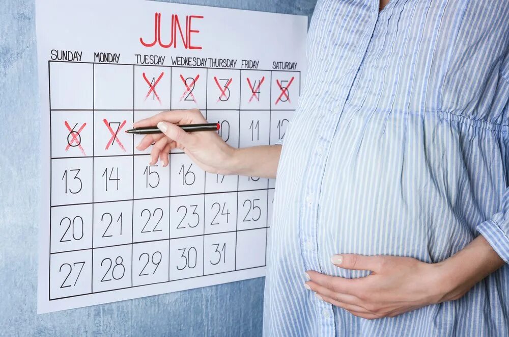 Календарь беременности. Календарь для беременных. Календарик для беременных.