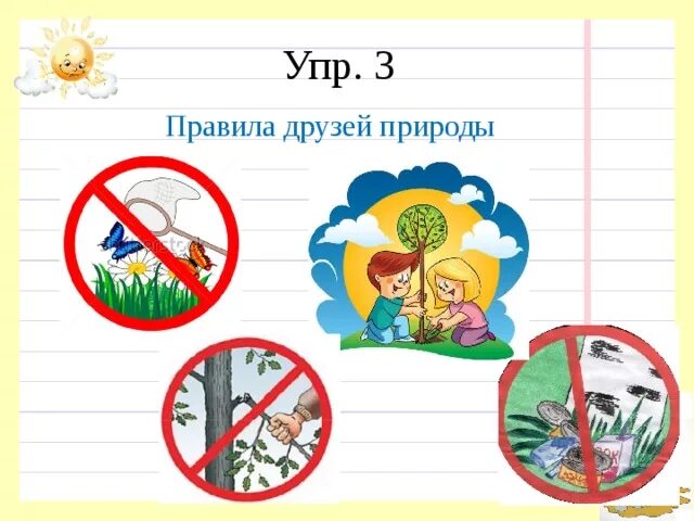 Предложи 2 3 правила друзей природы