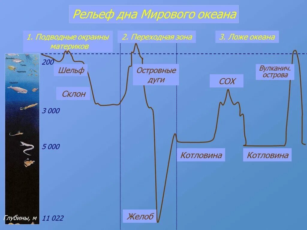 Формы рельефа дна мирового океана схема. Рельеф дна мирового океана 6. Формы рельефа дна океана 6 класс география. Строение рельефа дна океана. Рельеф поверхности океана