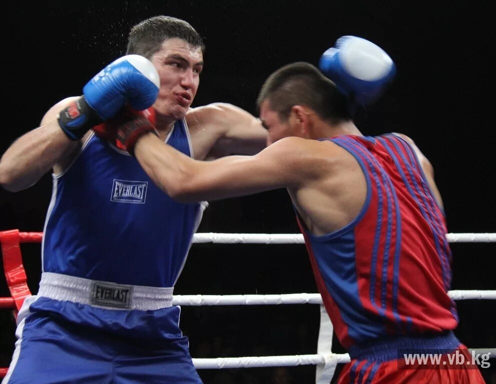 Бокс александр поветкин. Тим цзю боксер. Показать бокс сегодня. Бокс сегодня. Бивол ариан новосибирск.