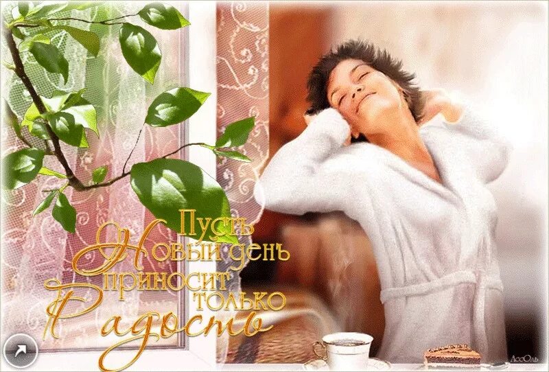 каждое утро видео. статусы про раннее утро. каждое утро видео. здоровый человек. каждое утро цитаты.