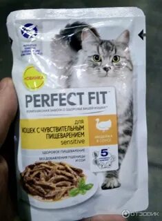 Корм влажный для котят perfect