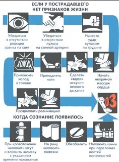 1 к признакам жизни пострадавшего относится
