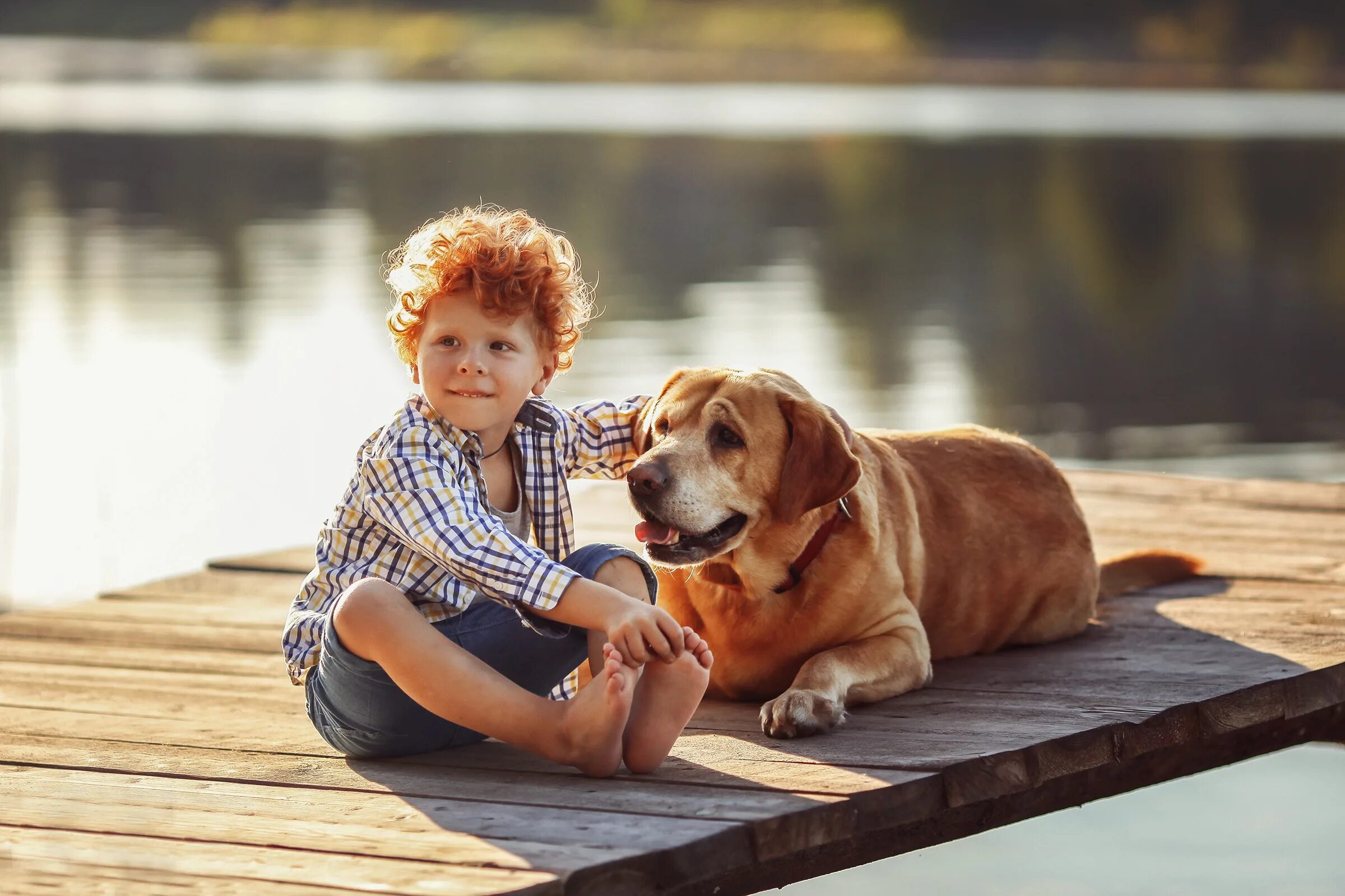 Мальчик держит собаку. Рыжий мальчик с собакой. Мальчик с рыжим щенком. Босиком с собакой. Рыжий мальчик босой.